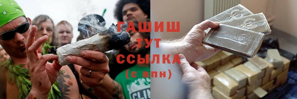 прущие грибы Корсаков