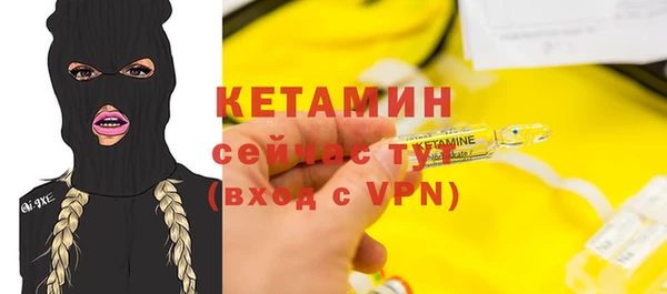прущие грибы Корсаков