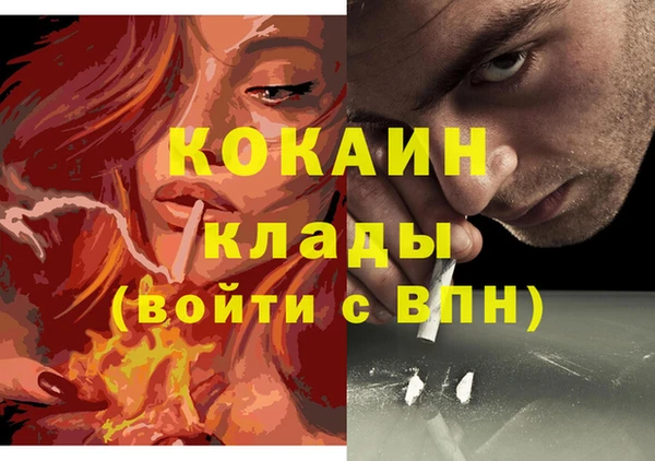 прущие грибы Корсаков