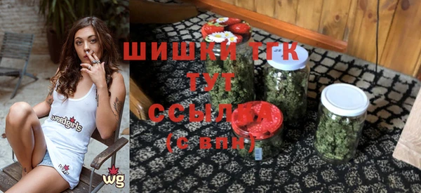 прущие грибы Корсаков