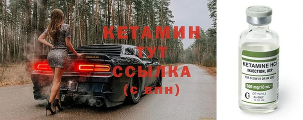 прущие грибы Корсаков