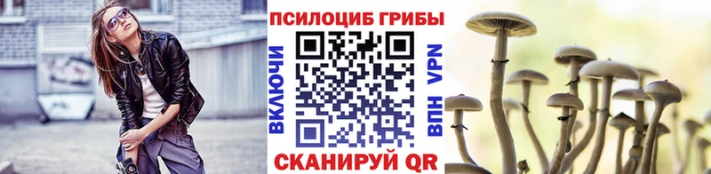 Галлюциногенные грибы MAGIC MUSHROOMS  Чехов 