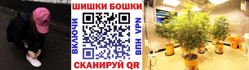 shop телеграм  Чехов  Бошки Шишки план 